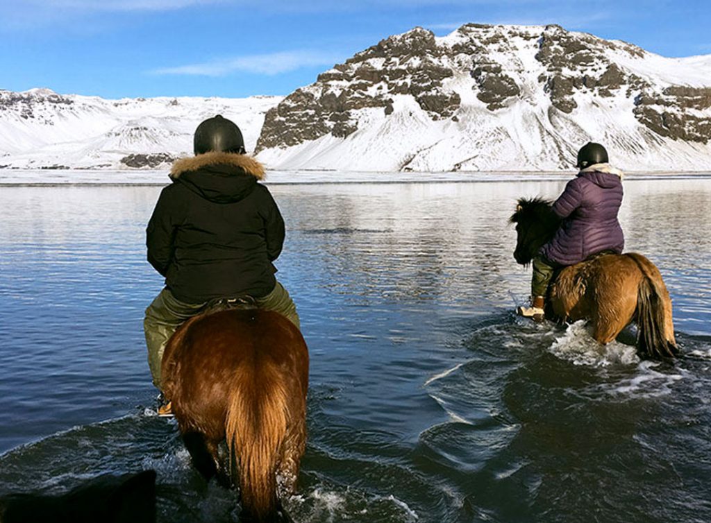 Iceland Horse Riding